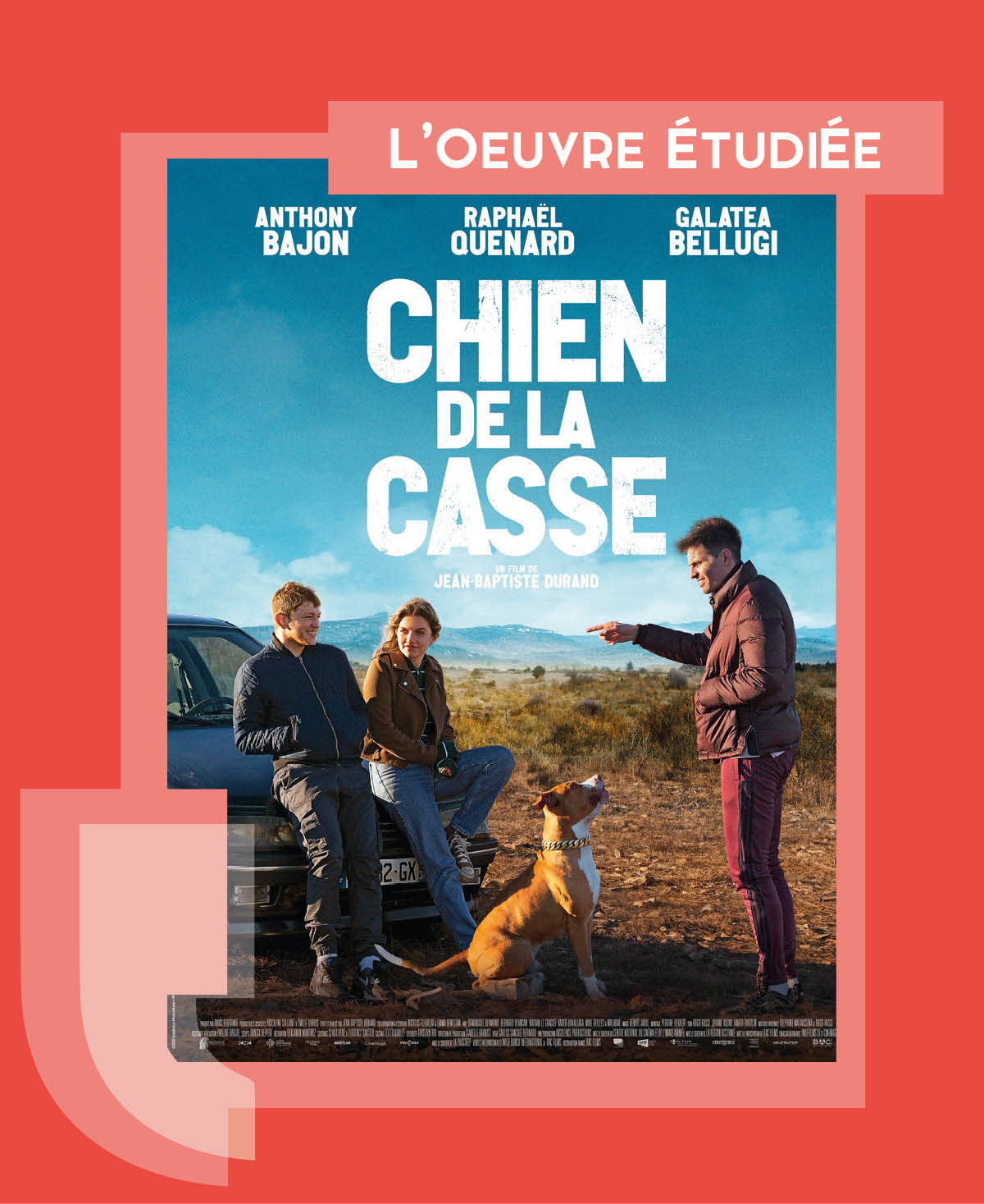 chiendelacasse